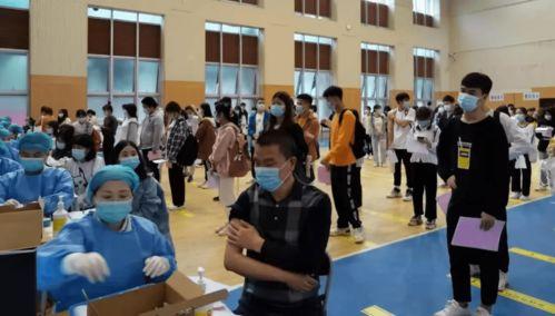 原阳碧桂园爆料最新消息,揭秘项目进展与未来规划  第3张