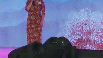 王依琳醉酒在线观看,网络直播引发热议  第2张