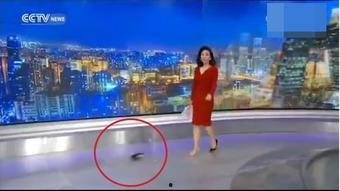 主持人爆料新浪博客视频,独家爆料引热议 第2张 主持人爆料新浪博客视频,独家爆料引热议 第2张
