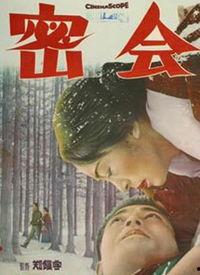 密会 在线观看,揭秘神秘邂逅背后的惊心动魄