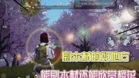 黎明觉醒最新时装爆料  第3张
