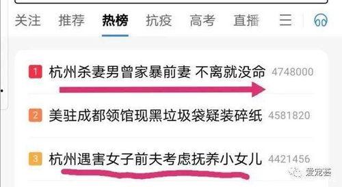 最新案件爆料新闻内容,最新案件内幕曝光，真相令人震惊！