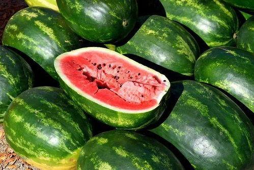 吃瓜娱乐素材视频,揭秘热门娱乐素材视频背后的故事  第2张