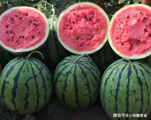 免费看吃瓜的网站,轻松获取热门资讯，畅享娱乐盛宴  第2张