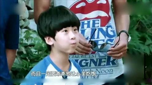 娱乐八卦爆料圈内大佬,幕后真相大曝光！  第3张