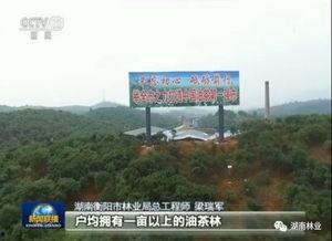 衡阳泉溪新闻爆料,揭秘泉溪镇发展新动态 第1张 衡阳泉溪新闻爆料,揭秘泉溪镇发展新动态 第1张