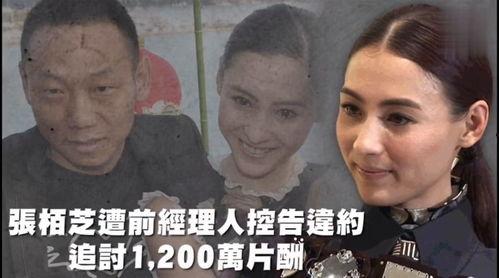 娱乐吃瓜渣,揭秘明星们的“吃瓜”生活 第3张 娱乐吃瓜渣,揭秘明星们的“吃瓜”生活 第3张