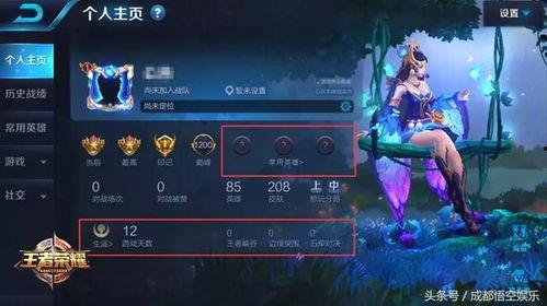 王者英雄增强新爆料视频,神秘英雄强势崛起，技能升级引玩家热议
