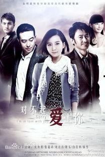 对不起爱上你在线观看,一场跨越界限的深情邂逅