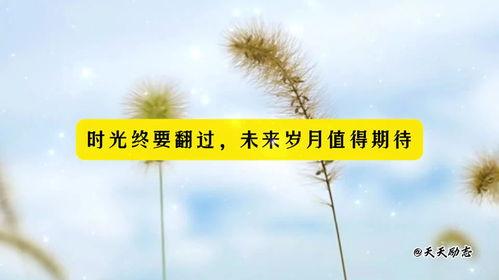 正能量最新爆料文案,揭秘生活美好瞬间,激发心灵正能量! 第2张 正能量最新爆料文案,揭秘生活美好瞬间,激发心灵正能量! 第2张