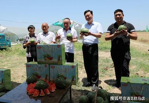 朱百万夫妇娱乐吃瓜,揭秘娱乐圈背后的甜蜜与苦涩  第3张