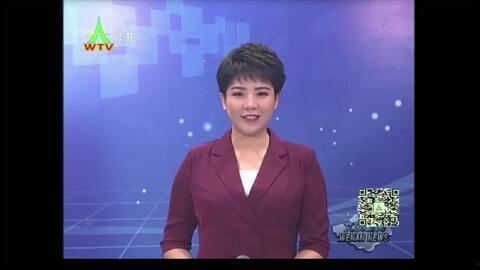 文安女士爆料新闻视频,揭秘新闻视频背后真相  第2张