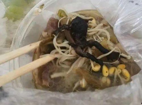 牛蛙后厨爆料视频播放,视频曝光惊人细节  第2张