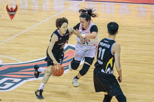 东莞篮球爆料新闻视频