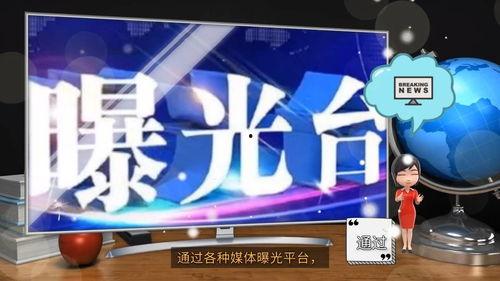 最新百姓爆料新闻,百姓视角下的社会热点事件追踪