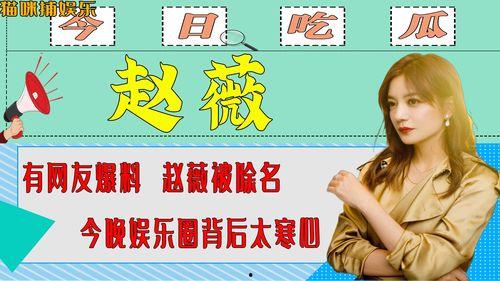 网友爆料娱乐圈,揭秘明星背后的故事与真相 第2张 网友爆料娱乐圈,揭秘明星背后的故事与真相 第2张