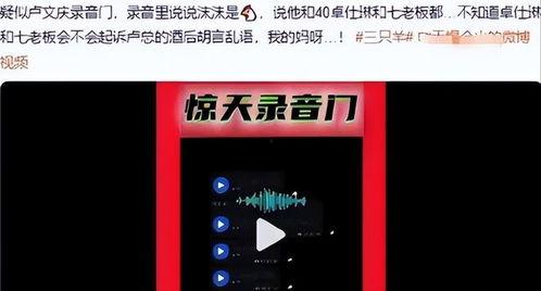 三只羊最新爆料语音,揭秘娱乐圈幕后真相  第2张