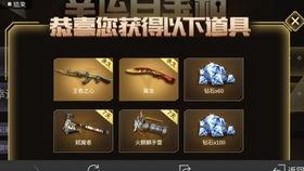 cfm最新百宝箱爆料,揭秘神秘道具与全新玩法  第2张