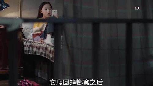 伊静的姐姐最新爆料视频,揭秘惊人内幕！