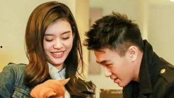 娱乐头条爆料君,揭秘娱乐圈最新热点事件