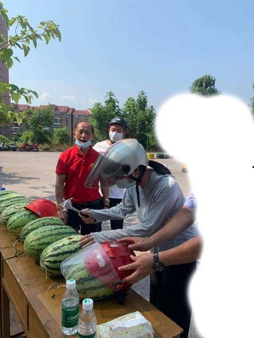 乐亭吃瓜最新事件爆料新闻,最新爆料揭示惊人内幕  第2张