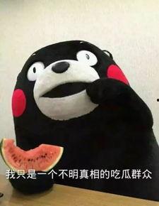 吃瓜反转免费全集,免费全集带你领略真相背后的反转风云