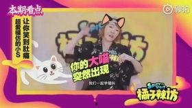辣姐有话说能爆料吗视频,揭秘热门视频背后的惊人爆料  第2张