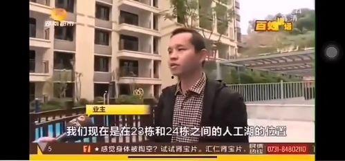 某楼市大佬爆料视频,视频爆料背后的楼市真相  第2张