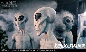 新闻爆料外星人视频大全,外星人视频大全震撼来袭！  第2张