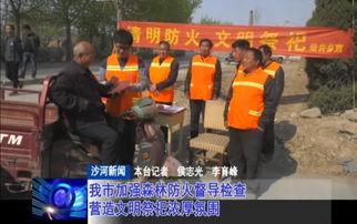 沙河爆料新闻,揭秘新闻背后的真相与内幕  第2张