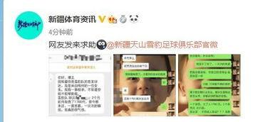 新疆网友爆料新闻,神秘事件引发关注，真相即将揭晓