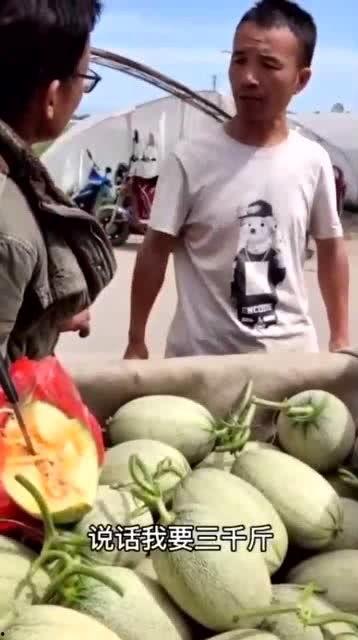 爆笑川哥免费吃瓜,笑料横飞，欢乐无限！