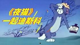 孤独的夜猫爆料视频,揭秘孤独夜晚的内心世界