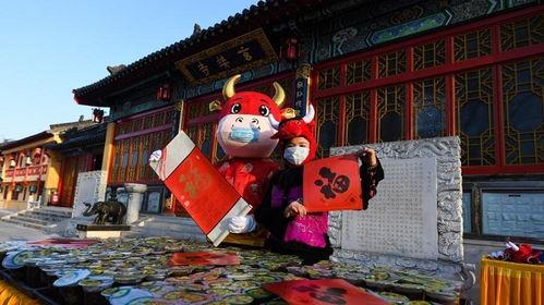 南京玄奘寺爆料案例视频,揭秘寺庙背后的真相 第3张 南京玄奘寺爆料案例视频,揭秘寺庙背后的真相 第3张