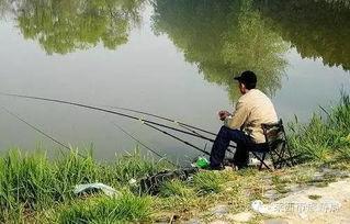 春天钓鱼爆料视频