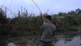 春天钓鱼爆料视频  第3张