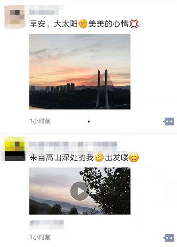 晨曦的爆料视频在哪看,一探究竟