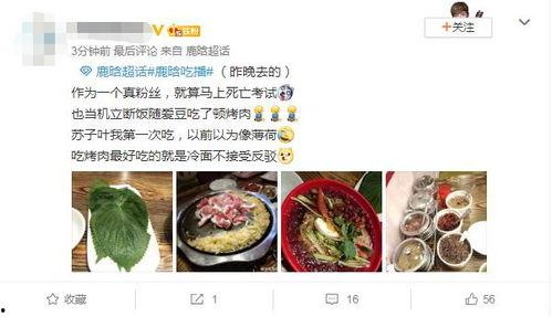 粉丝爆料美食视频,网红美食视频背后的美味秘密  第2张