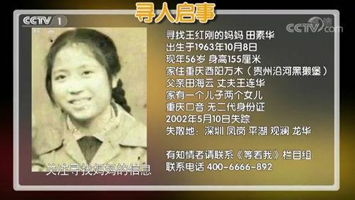 重担 在线观看,负重前行的人生挑战  第2张