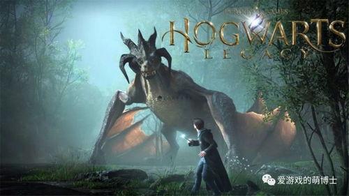 哈利波特2024最新爆料,2024神秘揭晓，全新篇章即将开启！  第2张