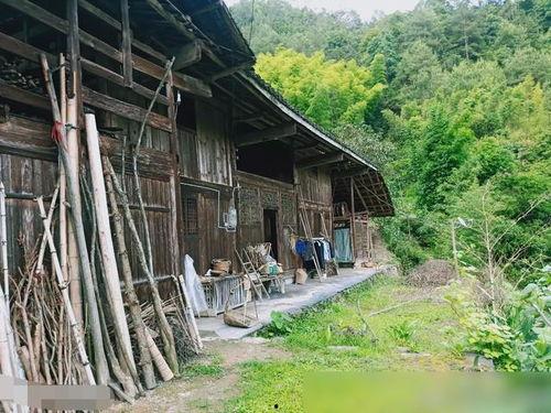 潮汕木屋爆料视频大全集  第3张