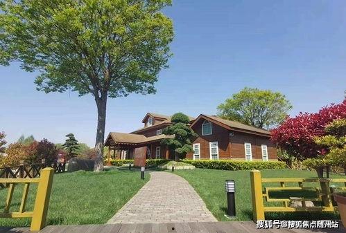 东营旅游爆料最新消息查询,探秘黄河入海口,体验生态休闲之旅 第2张 东营旅游爆料最新消息查询,探秘黄河入海口,体验生态休闲之旅 第2张