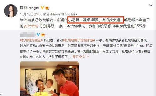 刘伟爆料家暴视频大全最新,视频大全揭示家庭暴力残酷现实