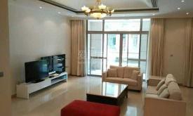 浦东新高苑最新爆料消息,揭秘神秘豪宅背后的故事  第2张