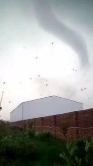 静海爆料最新,揭秘最新热点事件背后的真相  第3张