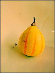 网红新沂吃瓜 第1张 网红新沂吃瓜 第1张