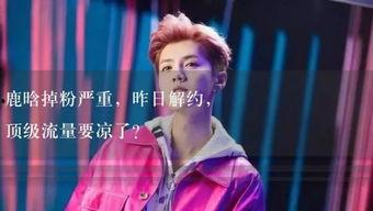 娱乐吃瓜直播讲故事免费观看,免费吃瓜，娱乐盛宴等你来  第3张