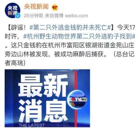 惠州金融爆料事件视频最新 第3张 惠州金融爆料事件视频最新 第3张